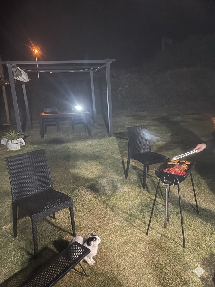 BBQ
